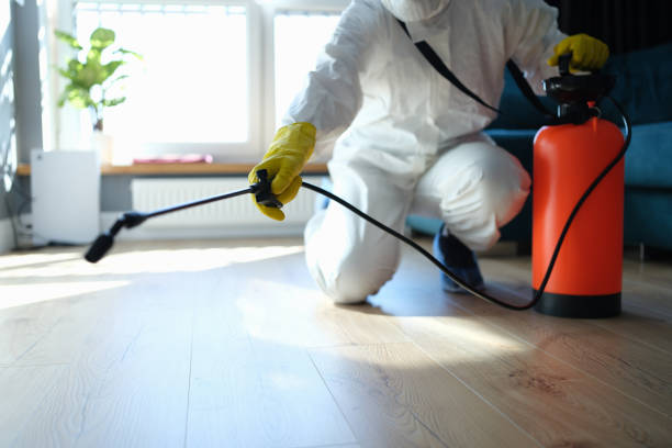 Reliable Infectious Disease Decontamination contractor in Westwood, CA by Trauma Clean Pros